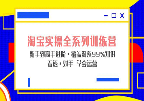 淘宝实操全系列训练营 新手到高手进阶·覆盖·99%知识 看透·对手 学会运营插图