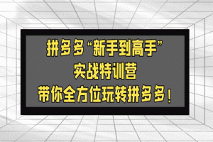 拼多多“新手到高手”实战特训营：带你全方位玩转拼多多