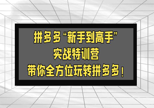 拼多多“新手到高手”实战特训营：带你全方位玩转拼多多插图