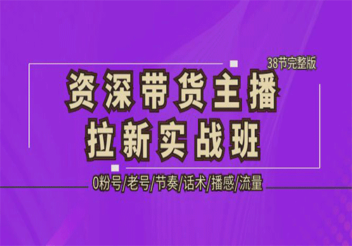 资深·带货主播拉新实战班，0粉号/老号/节奏/话术/播感/流量-38节完整版插图