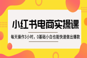 小红书·电商实操课：每天操作3小时，0基础小白也能快速做出爆款