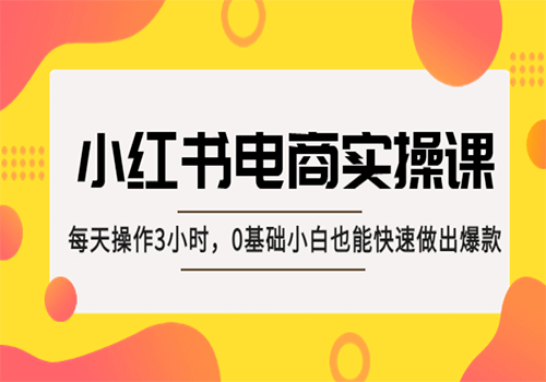 小红书·电商实操课：每天操作3小时，0基础小白也能快速做出爆款插图