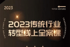 2023年传统行业如何转型线上，线上创业/传统转型避坑宝典视频教程