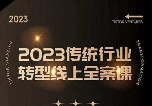 2023年传统行业如何转型线上，线上创业/传统转型避坑宝典视频教程插图