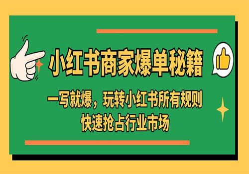 小红书·商家爆单秘籍：一写就爆，玩转小红书所有规则，快速抢占行业市场插图