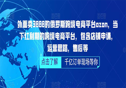 俄罗斯跨境电商平台ozon运营，包含店铺申请，运营思路，售后等（无水印）插图