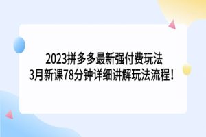 2023拼多多最新强付费玩法，3月新课 78分钟详细讲解玩法流程！