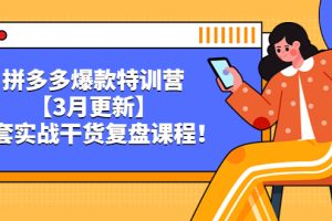 拼多多爆款特训营【3月更新】，全套实战干货​复盘课程