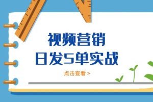 《视频营销日发5单实战》