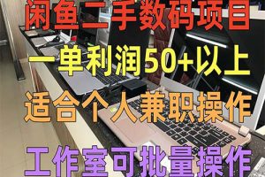 闲鱼二手数码项目，个人副业低保收入一单50+以上，工作室批量放大操作