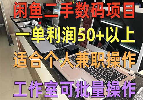 闲鱼二手数码项目，个人副业低保收入一单50+以上，工作室批量放大操作插图