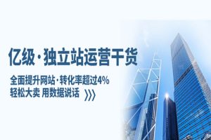 亿级·独立站运营干货：全面提升网站·转化率超过4%，轻松大卖 用数据说话