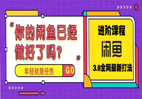 火爆全网的咸鱼玩法进阶课程，单号日入1K的咸鱼进阶课程插图