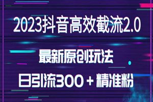 日引300＋创业粉，独家抖音高效截流2.0玩法（价值1280