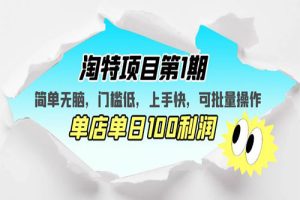 淘特项目第1期，简单无脑，门槛低，上手快，单店单日100利润 可批量操作