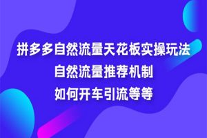 拼多多自然流量天花板实操玩法：自然流量推荐机制，如何开车引流等等