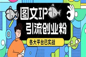 价值1688的ks dy 小红书图文ip引流实操课，日引50-100！各大平台已经实战