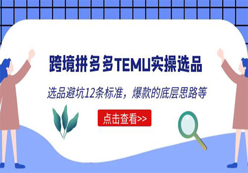 跨境拼多多TEMU实操选品运营方法，选品避坑12条标准，爆款的底层思路等插图