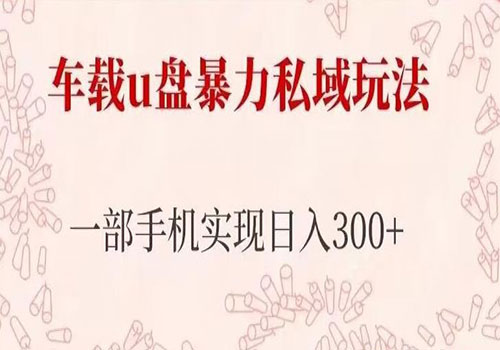 2023车载u盘暴力私域玩法，长期项目，仅需一部手机实现日入300+插图