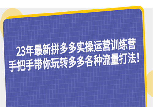 23年最新拼多多实操运营训练营：手把手带你玩转多多各种流量打法插图