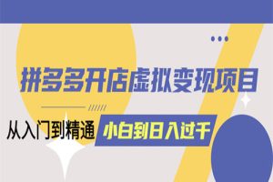 拼多多开店虚拟变现项目：入门到精通 从小白到日入1000（完整版）4月10更新