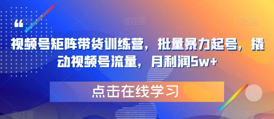 视频号矩阵带货训练营，批量暴力起号，撬动视频号流量，月利润5w+插图