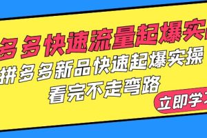 拼多多-快速流量起爆实战，拼多多新品快速起爆实操，看完不走弯路