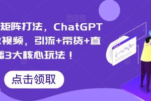 视频号矩阵打法，ChatGPT批量做视频，引流+带货+直播3大核心玩法