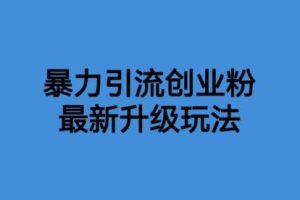 价值1980一千个野路子暴力引流最新升级玩法【揭秘】