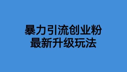 价值1980一千个野路子暴力引流最新升级玩法【揭秘】插图