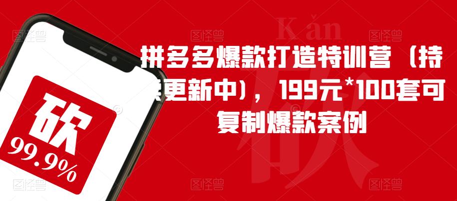 拼多多爆款打造特训营（持续更新中)，199元*100套可复制爆款案例插图