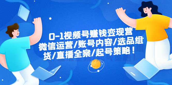 0-1视频号赚钱变现营：微信运营-账号内容-选品组货-直播全案-起号策略！插图