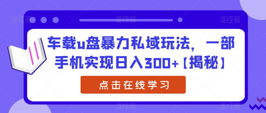 车载u盘暴力私域玩法，一部手机实现日入300+【揭秘】插图