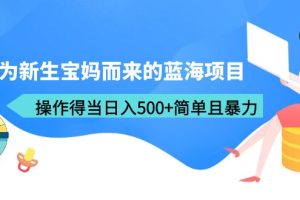 专为新生宝妈而来的蓝海项目，操作得当日入500+简单且暴力（教程+工具）