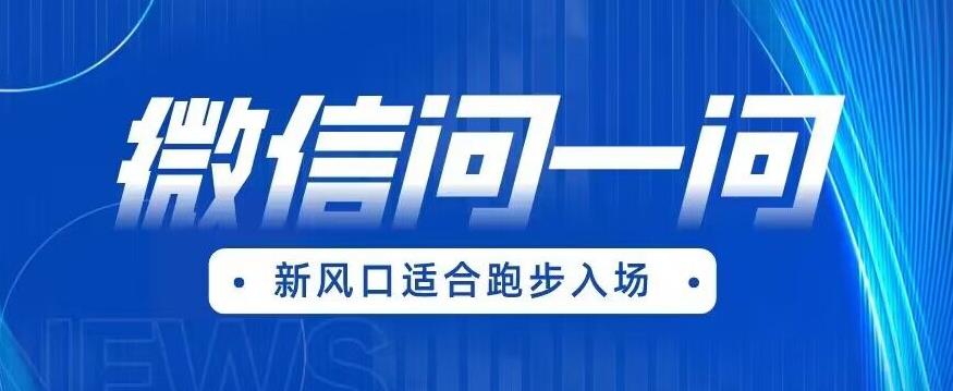 全网首发微信问一问新风口变现项目（价值1999元）【揭秘】插图