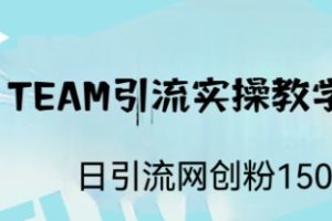 ST TEAM引流实操课，日引流网创粉100+