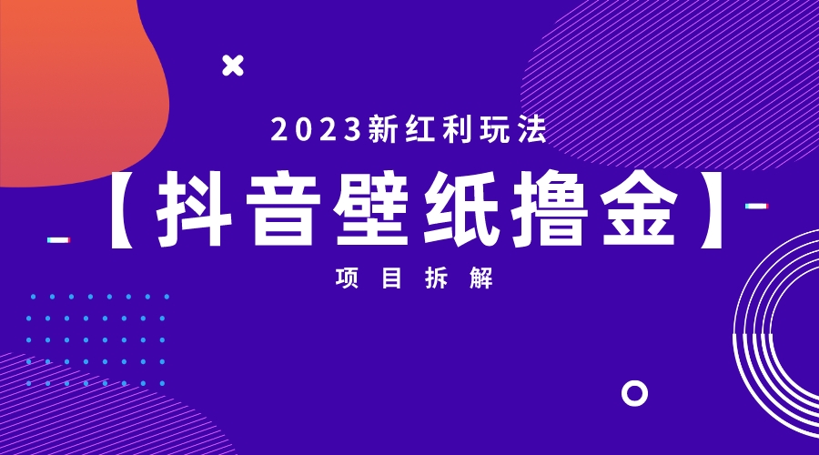 2023新红利玩法：抖音壁纸撸金项目插图