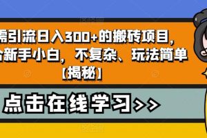 无需引流日入300+的搬砖项目，适合新手小白，不复杂、玩法简单