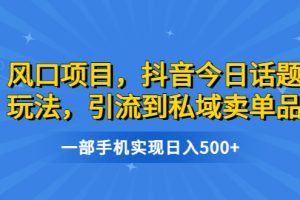 风口项目，抖音今日话题玩法，引流到私域卖单品，一部手机实现日入500+