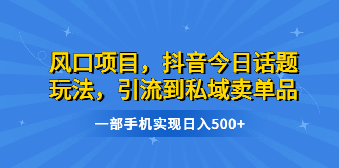 风口项目，抖音今日话题玩法，引流到私域卖单品，一部手机实现日入500+插图