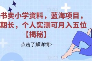 小红书卖小学资料，蓝海项目，红利期长，个人实测可月入五位【揭秘】