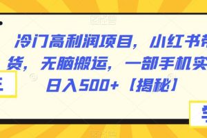 冷门高利润项目，小红书带货，无脑搬运，一部手机实现日入500+【揭秘】