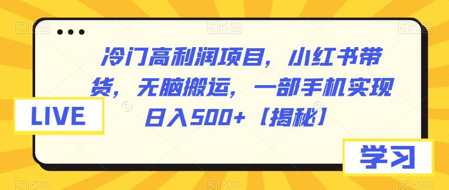 冷门高利润项目，小红书带货，无脑搬运，一部手机实现日入500+【揭秘】插图