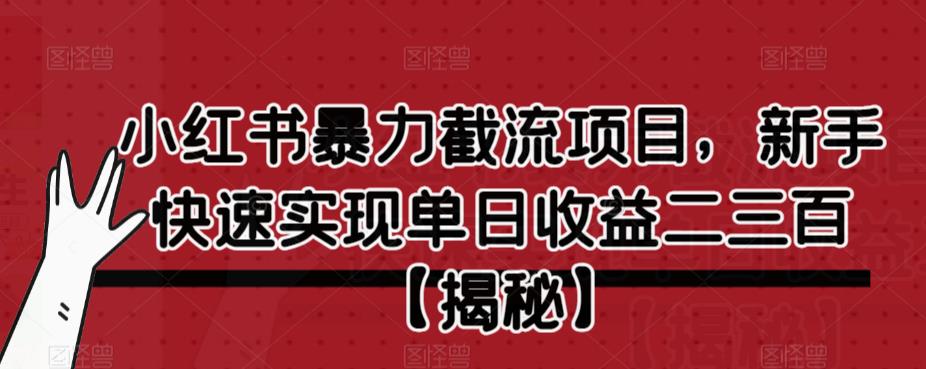 小红书暴力截流项目，新手快速实现单日收益二三百【仅揭秘】插图