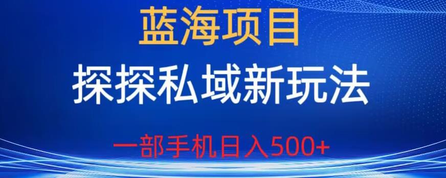 蓝海项目，探探私域新玩法，一部手机日入500+很轻松【揭秘】插图