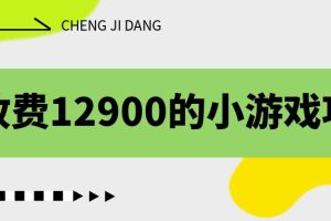 收费12900的小游戏项目，单机收益30+，独家养号方法