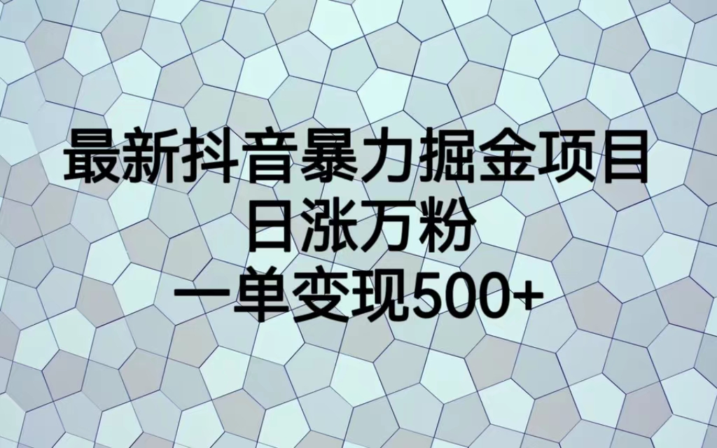 最新抖音暴力掘金项目，日涨万粉，一单变现500+插图