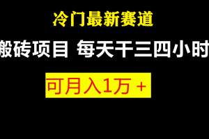 最新冷门游戏搬砖项目，零基础也能玩（附教程+软件）