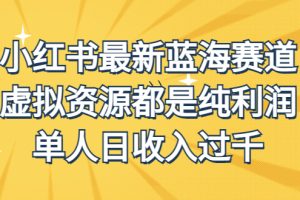 外面收费1980的小红书最新蓝海赛道，虚拟资源都是纯利润，单人日收入过千