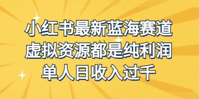 外面收费1980的小红书最新蓝海赛道，虚拟资源都是纯利润，单人日收入过千插图